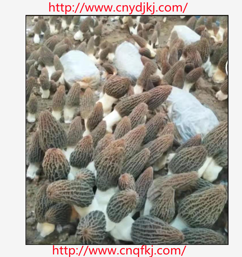 1656393668504.jpg QQ图片20220627165421rr12.jpg
