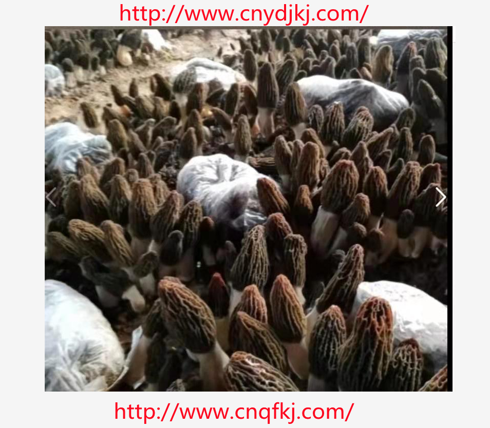 1656393731679.jpg QQ图片20220627165525rr12.jpg
